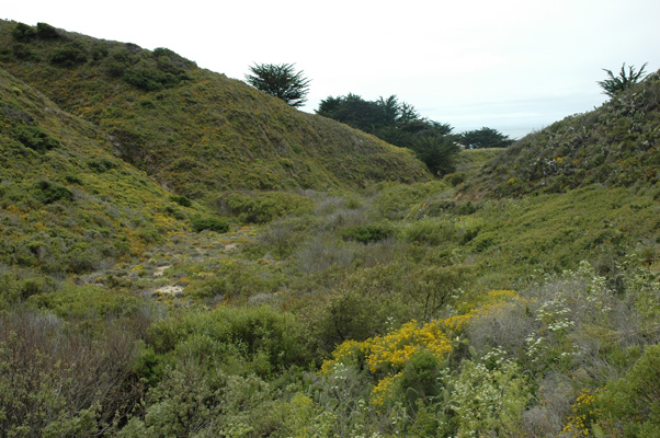 Soberanes Canyon 028.jpg